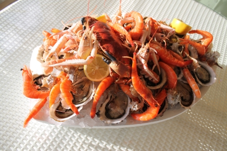 Les_perles_de_thau_et_leur_tourteau_small